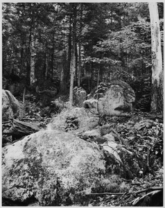 Thumbnail for the first (or only) page of Stony Podzol from granitic till under mixed forest about 20 miles northwest of Millinocket, Maine..