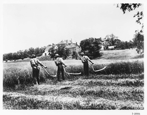 Thumbnail for the first (or only) page of Harvesting grain by hand.