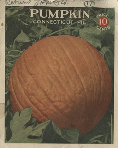 Thumbnail for the first (or only) page of Mock-up of pumpkin seed packet.