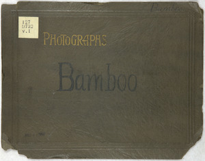 Thumbnail for the first (or only) page of Bamboo album cover.
