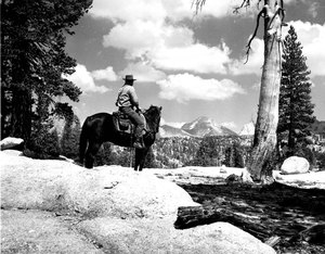 Thumbnail for the first (or only) page of Forest Ranger.