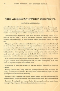 Thumbnail for the first (or only) page of The American sweet chestnut.