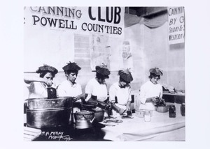 Thumbnail for the first (or only) page of Canning Club Powell Counties (1915)..