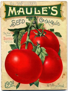 Thumbnail for the first (or only) page of Maule&#039;s Seed Catalogue.