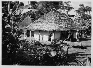 Thumbnail for the first (or only) page of Belgian Congo. Near Bambesa. Typical native farm home in cooperative community..