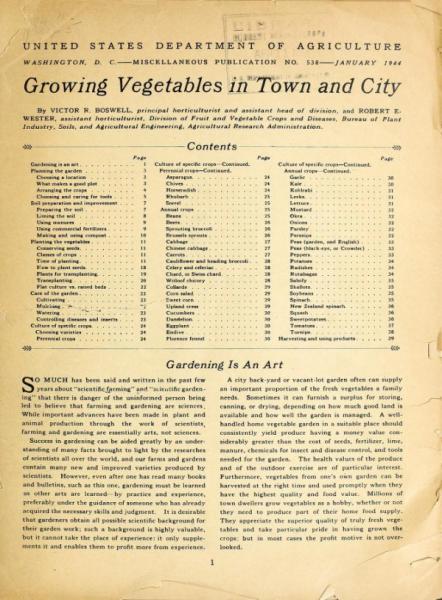 Growing Vegetables in Town and City