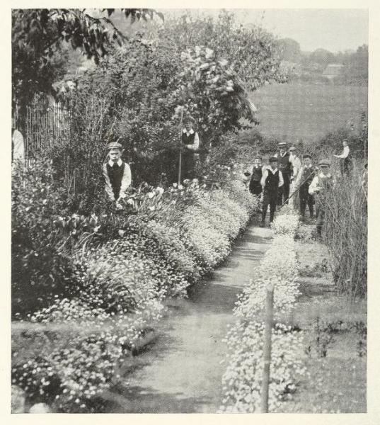 boy in garden