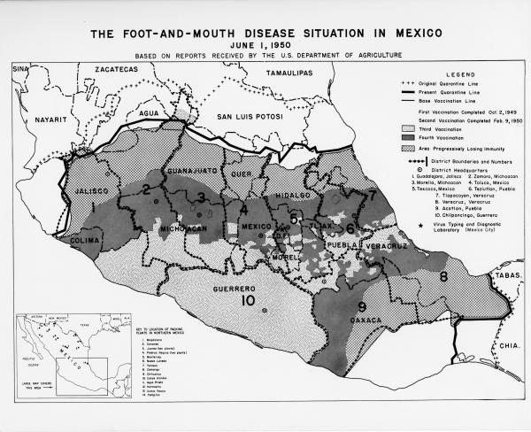 Map of foot-and-mouth disease in Mexico 