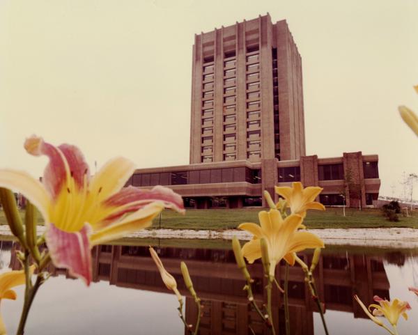 Photo of the library, a tall fourteen story brick building. In front of the building is a body of water with a reflection of the building. There are also lily flowers in the foreground that are yellow and pink. The image is sepia colored as if a vintage image.
